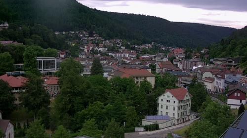 Webcam Bad Wildbad
