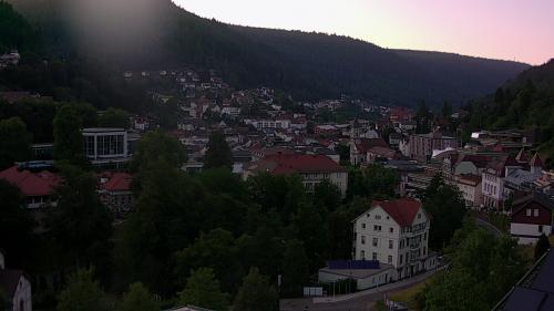 Webcam Bad Wildbad