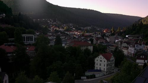 Webcam Bad Wildbad