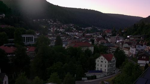 Webcam Bad Wildbad