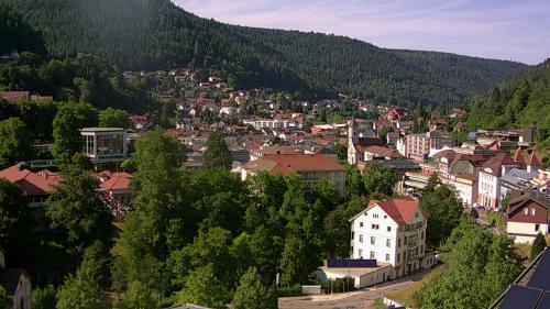 Webcam Bad Wildbad