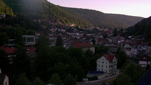 Webcam Bad Wildbad