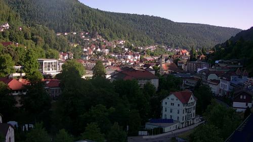 Webcam Bad Wildbad