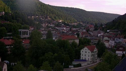 Webcam Bad Wildbad