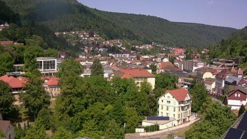 Webcam Bad Wildbad
