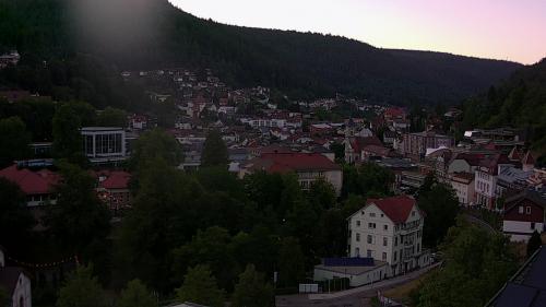 Webcam Bad Wildbad