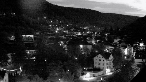 Webcam Bad Wildbad