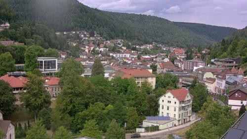 Webcam Bad Wildbad