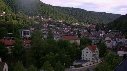 Webcam Bad Wildbad