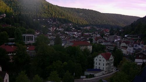 Webcam Bad Wildbad