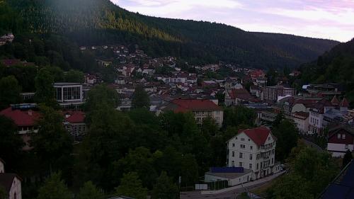 Webcam Bad Wildbad