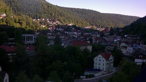 Webcam Bad Wildbad