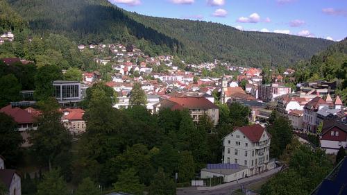 Webcam Bad Wildbad