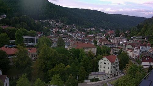 Webcam Bad Wildbad