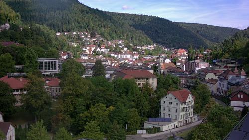 Webcam Bad Wildbad