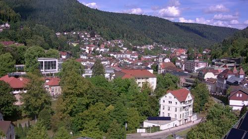 Webcam Bad Wildbad