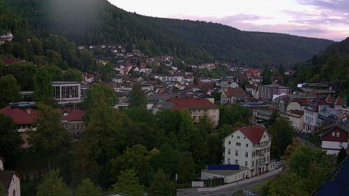 Webcam Bad Wildbad