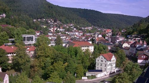 Webcam Bad Wildbad