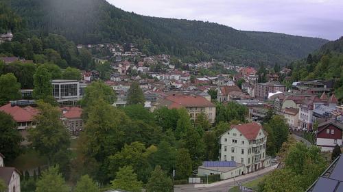 Webcam Bad Wildbad