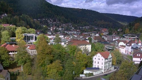Webcam Bad Wildbad
