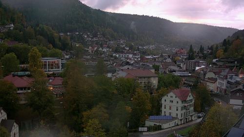Webcam Bad Wildbad