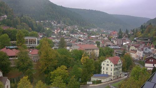 Webcam Bad Wildbad