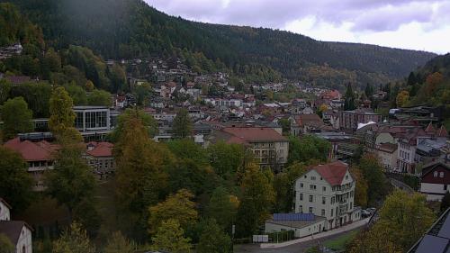 Webcam Bad Wildbad