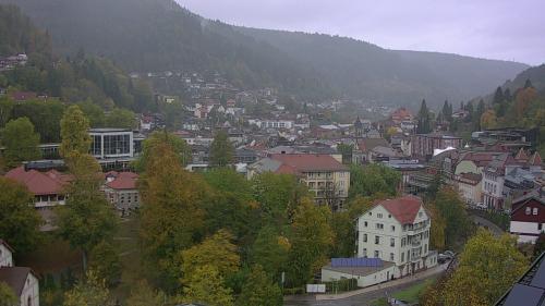 Webcam Bad Wildbad