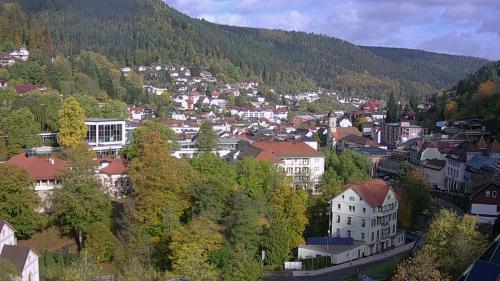 Webcam Bad Wildbad