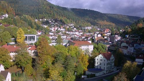 Webcam Bad Wildbad