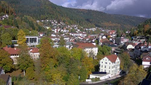 Webcam Bad Wildbad