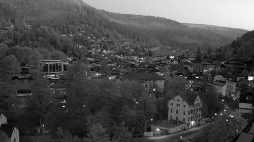 Webcam Bad Wildbad