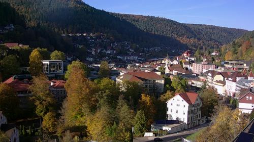 Webcam Bad Wildbad